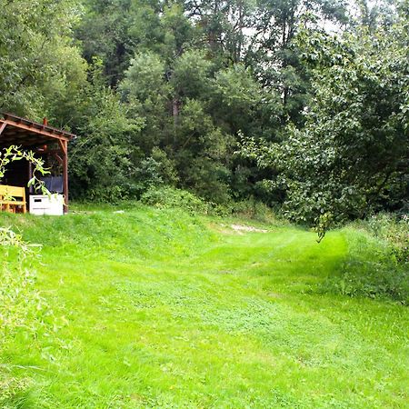 Ve Stodole Villa Zlata Olesnice  Bagian luar foto