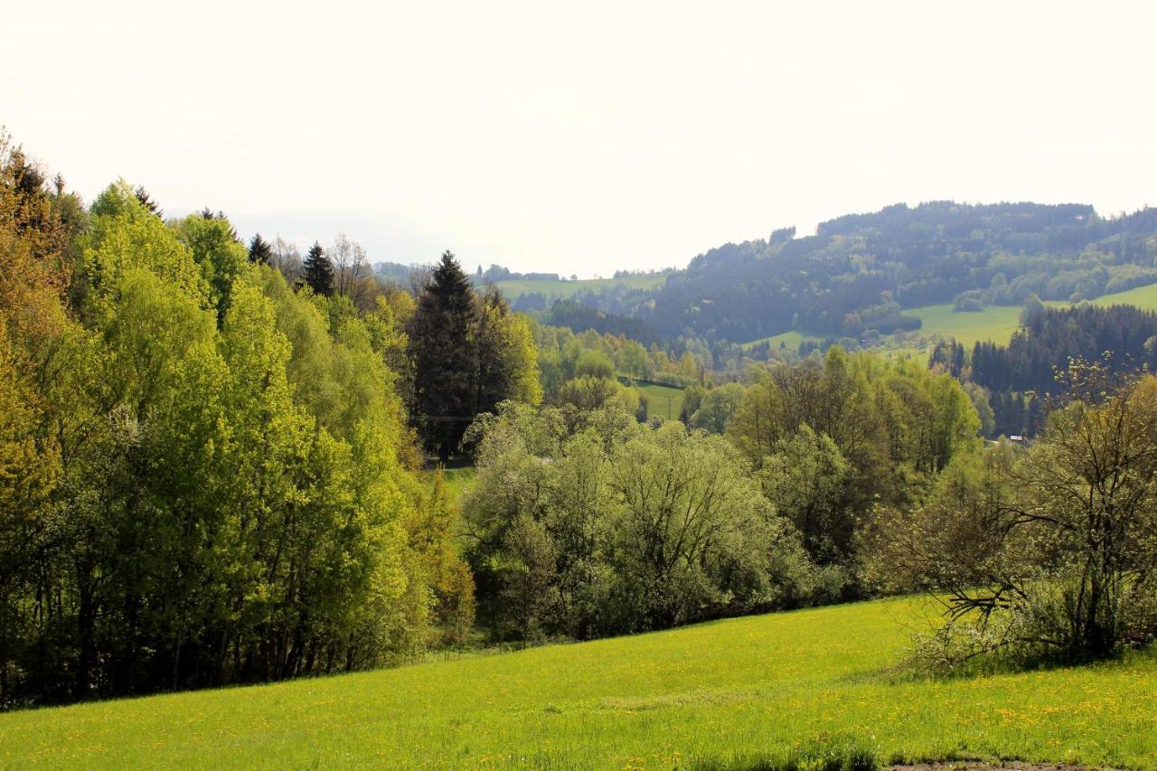 Ve Stodole Villa Zlata Olesnice  Bagian luar foto